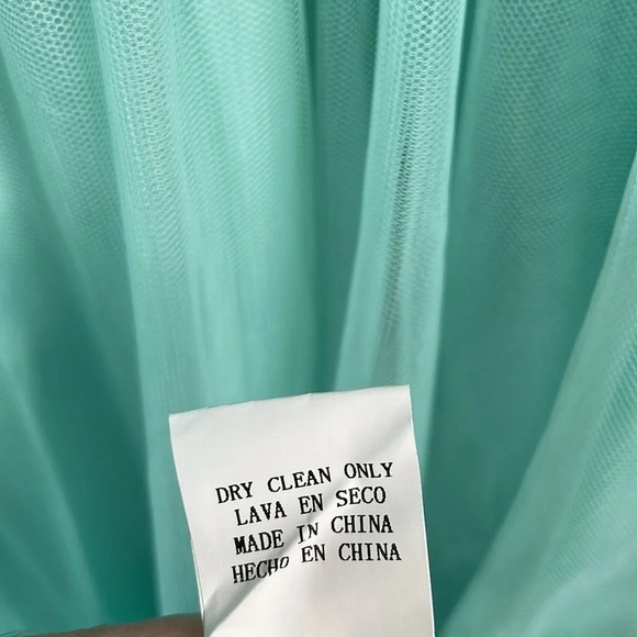 MANIJU NWT Prom  Dress Mint Green Lace Appliqués Over Tulle Floor Length Gown L - Picture 8 of 12